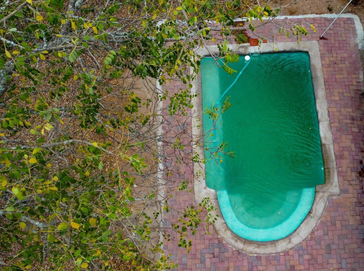 מרלות' פארק Nanisto Bush Lodge מראה חיצוני תמונה