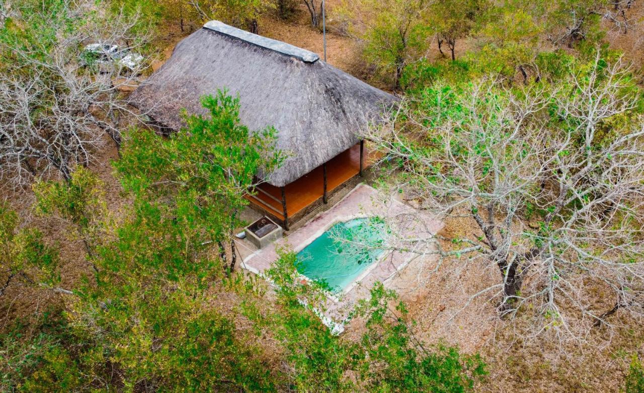 מרלות' פארק Nanisto Bush Lodge מראה חיצוני תמונה